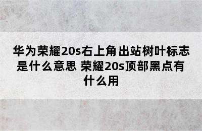 华为荣耀20s右上角出站树叶标志是什么意思 荣耀20s顶部黑点有什么用